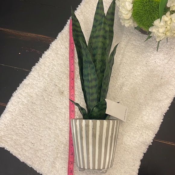 NWT Always Perfect Decor Artificial Snake Plant in Gray and White Pot - Picture 3 of 12